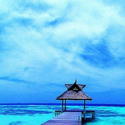 澳门正版资料大全手机app下载