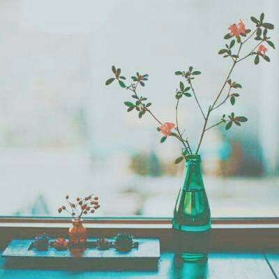 天博网页版入口平台