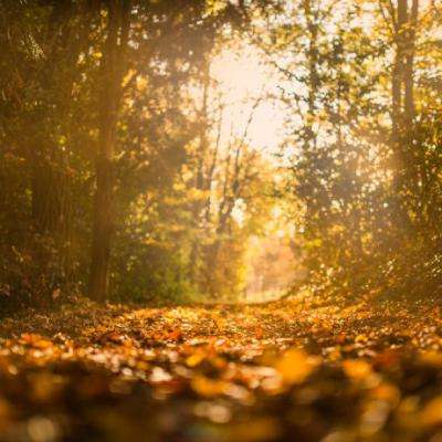 亚虎娱乐app下载截图