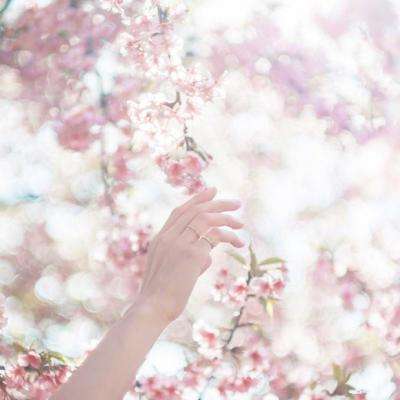 斗牛棋牌手机app下载