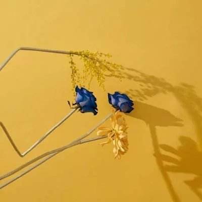 澳门银银河官方网welcomeapp下载