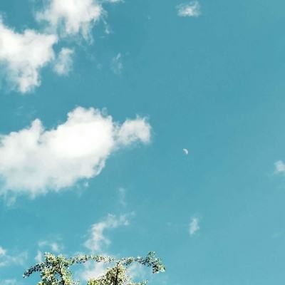 云平台登录注册入口