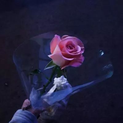 b体育官方app下载app下载