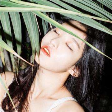 kok最新客户端下载手机版截图